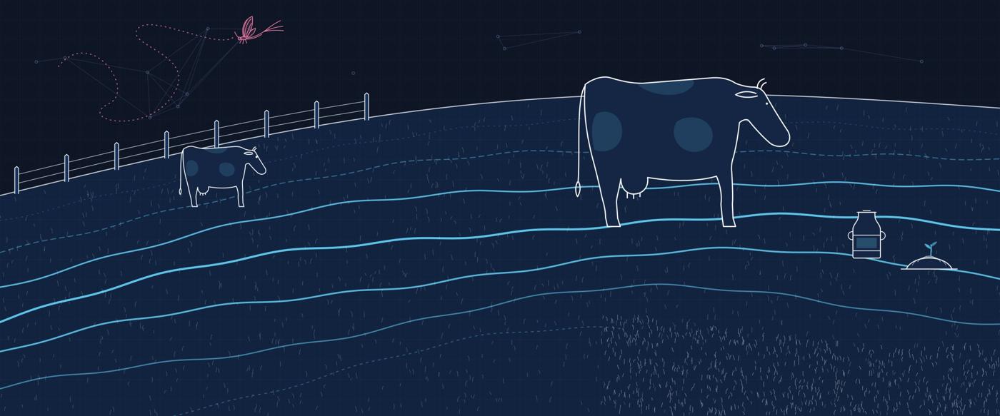 Line drawing of a hillside with horizontal cattle trails, a fence, two cows, a milk can and a mayfly’s erratic flight